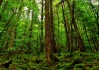 世界短道速滑科研训练模型应用示范基地第13批揭牌仪式通知，世界短道速滑锦标赛的举办时间为多久