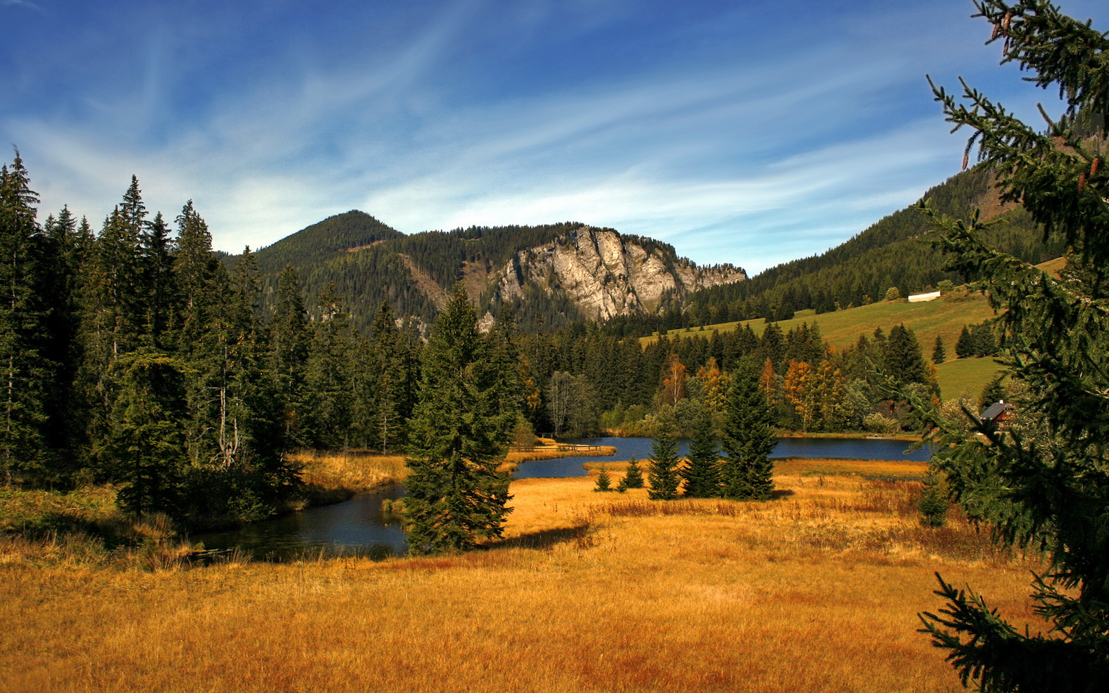 世界举重公开赛赛后科研转化项目首批落地，世界举重比赛现场视频